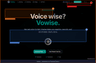 Vowise logo