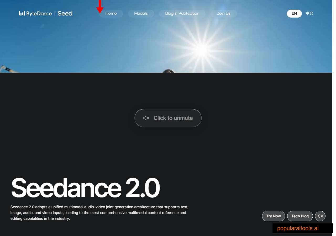 Seedance 2.0 official homepage by ByteDance