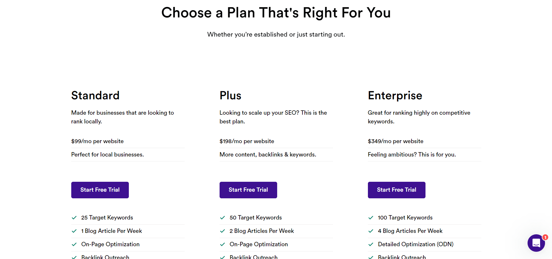 Ranked - Elevate Your SEO Strategy with AI-Powered Insights.