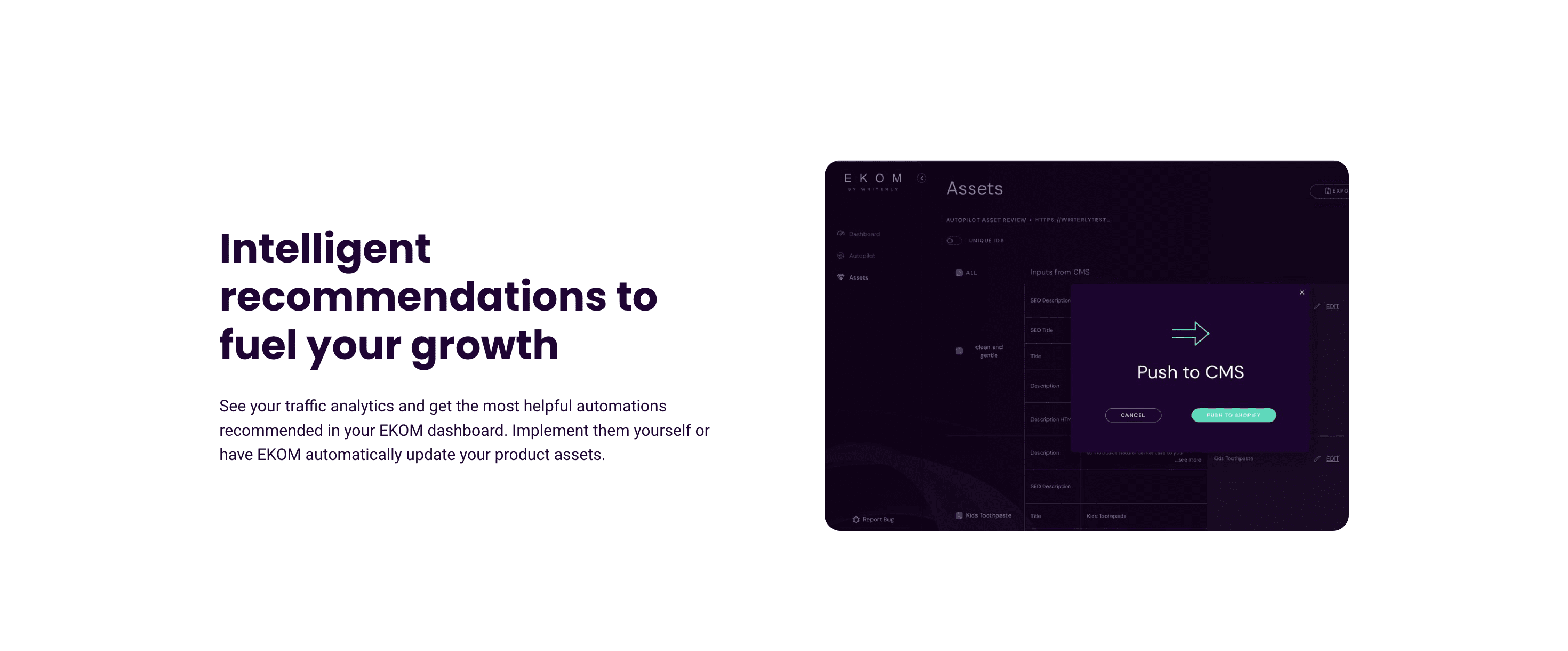 Real-time SEO data analysis by EKOM