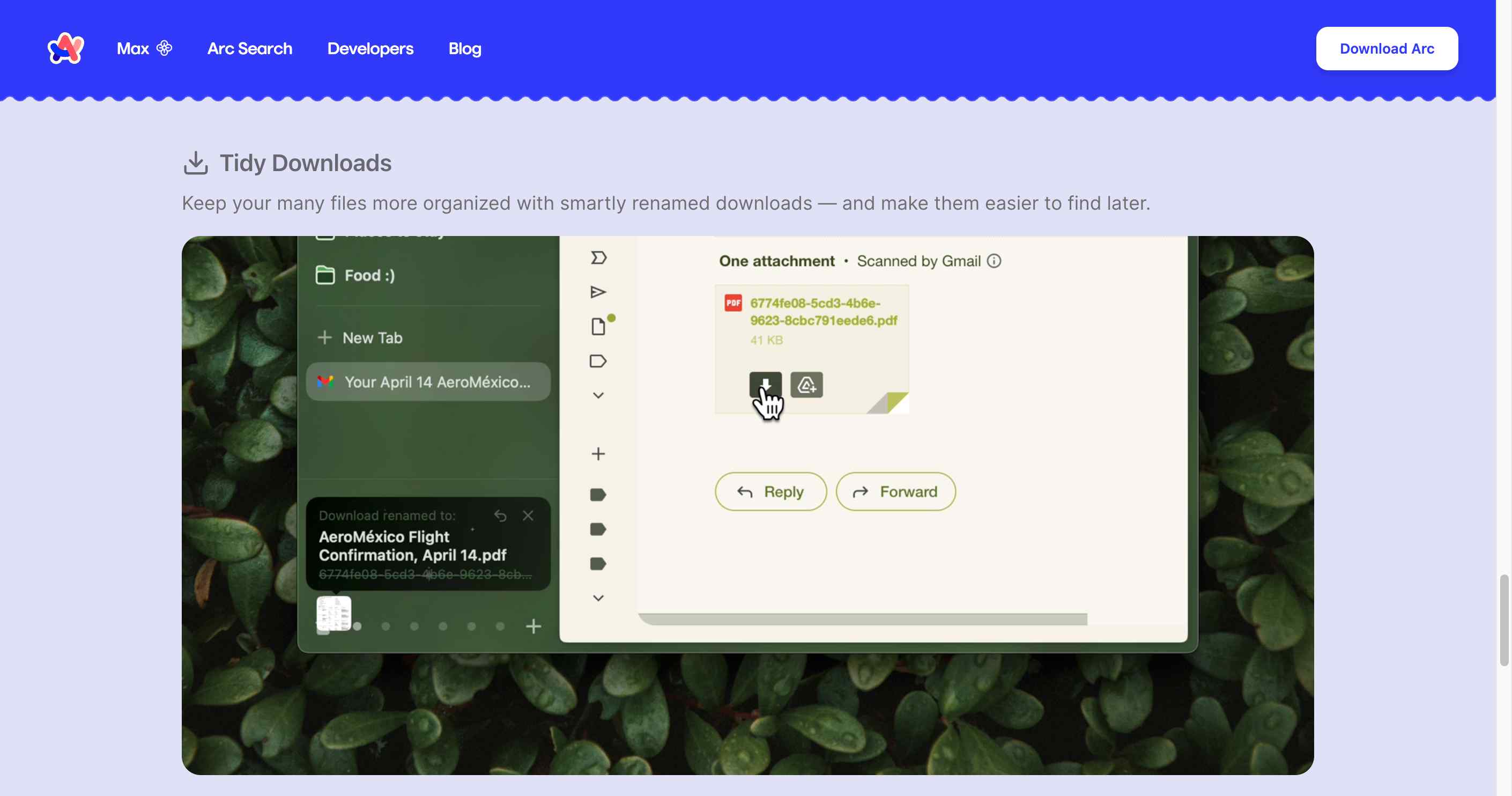 Example of Arc Max Browser